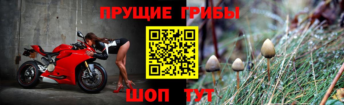 Псилоцибиновые грибы Cubensis Минусинск
